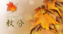 【二十四節氣灸】秋分節氣，平衡陰陽，巧用艾灸，潤燥養肺是關鍵！