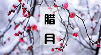【臘月養生】調氣血、補陽氣、促進良好睡眠，健康一整年！