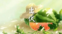 【艾灸三伏天】出伏后記得堅(jiān)持艾灸，伏后固本，做好至關(guān)重要的最后一步！