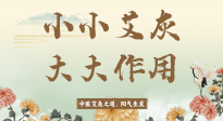 【艾草知識】艾灰真是個巨好用的東西，?它的神奇功效，你知道多少？